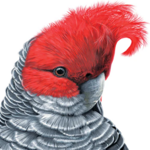 Profile photo of Brett